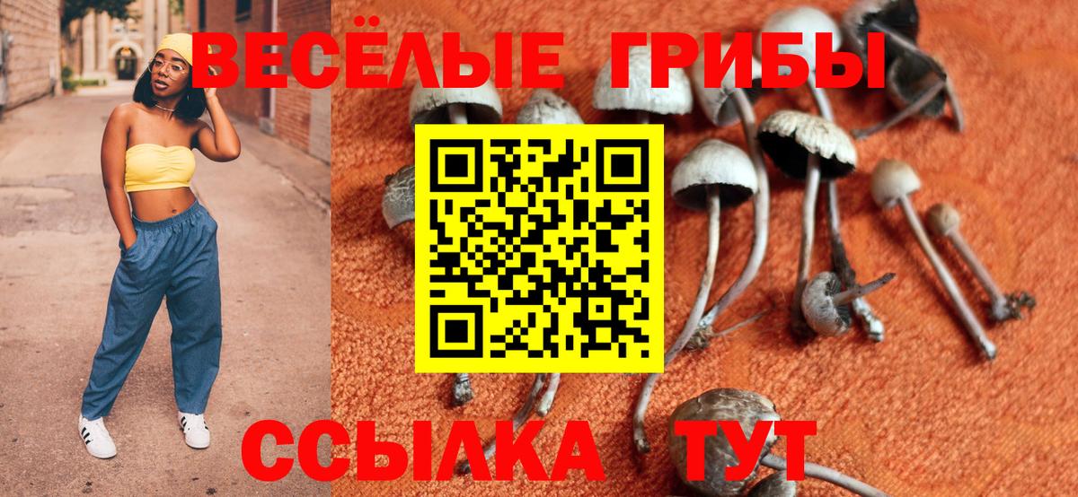 Псилоцибиновые грибы прущие грибы Котовск