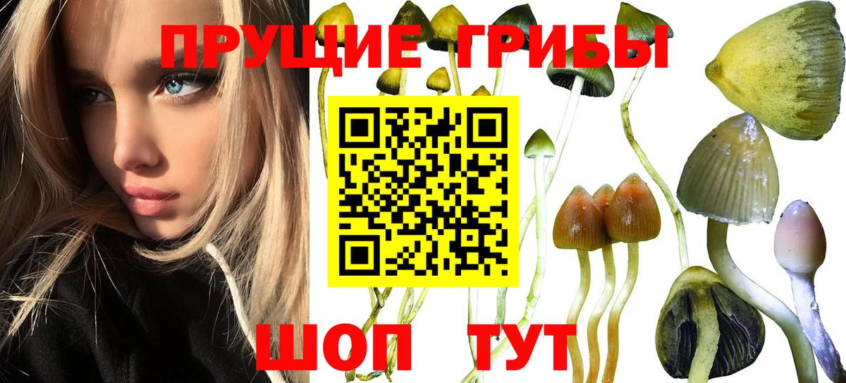 Котовск  Галлюциногенные грибы мухоморы  Псилоцибиновые грибы мухоморы  Вход с VPN 